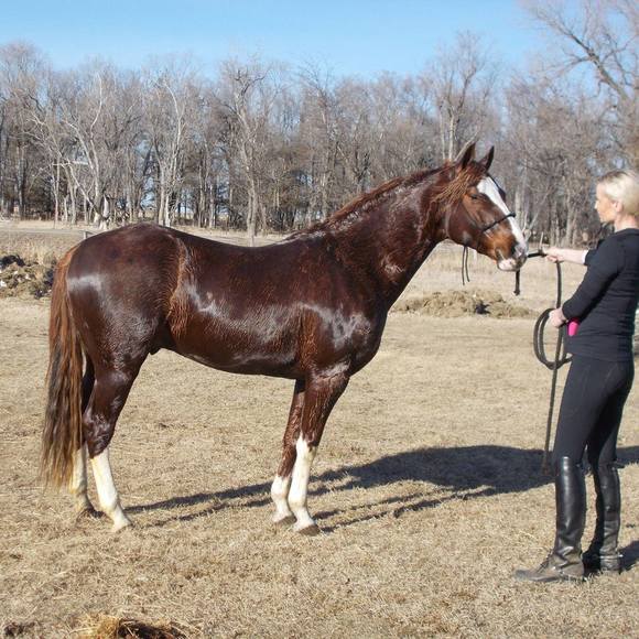 Meet your Posher, Heather - Picture 1 of 1